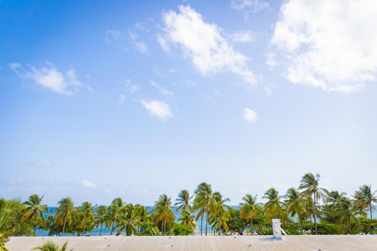 Ti Studio Alize Face A La Plage Le Moule Exterior photo